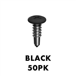 10g x16mm SS304 screw  50 Pack  Black