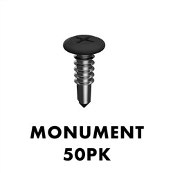 10g x16mm SS304 screw 50 Pack Monument
